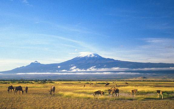 CIRCUIT AU KENYA : AU KILIMANDJARO AND BEACH EN PENSION COMPLETE