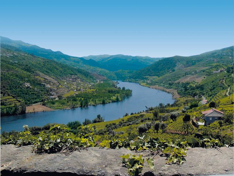 PORTUGAL : LISBONNE / COIMBRA / VALLÉE DU DOURO