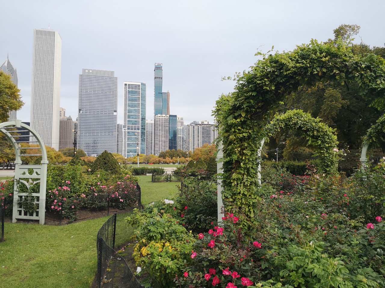 découverte de Chicago avec Grant parc