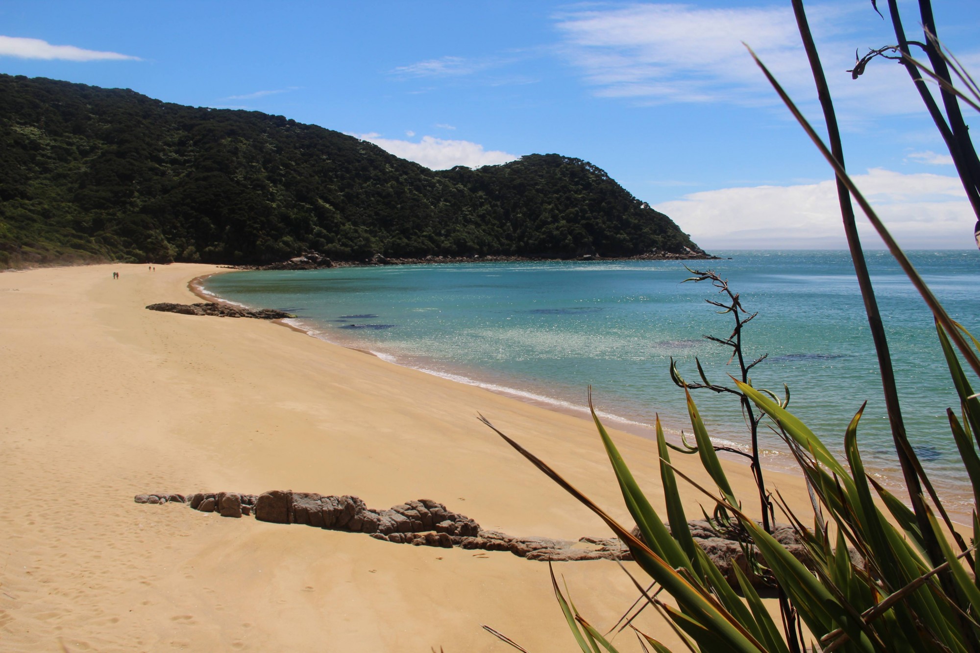 Abel Tasman , plage , beach, sea