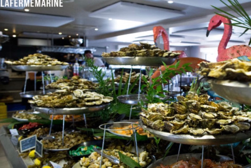 buffet fruits de mer à l'étang de Thau