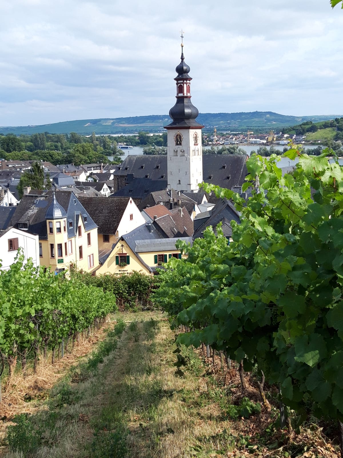 Rüdesheim dans la vallée du Rhin romantique