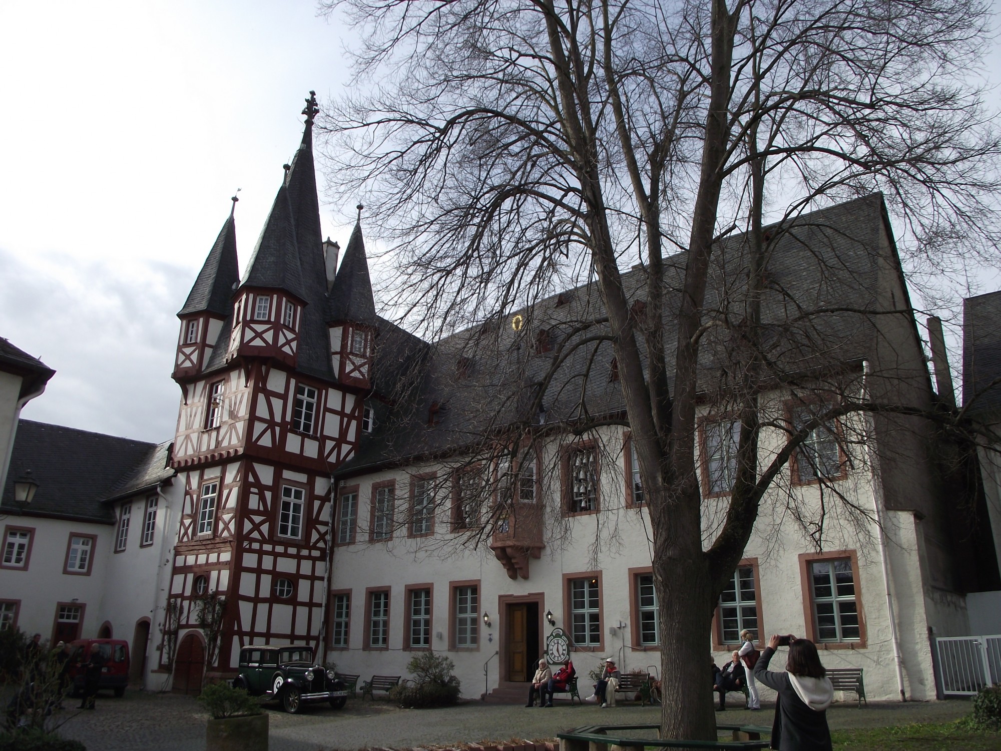 Rüdesheim dans la vallée du Rhin romantique