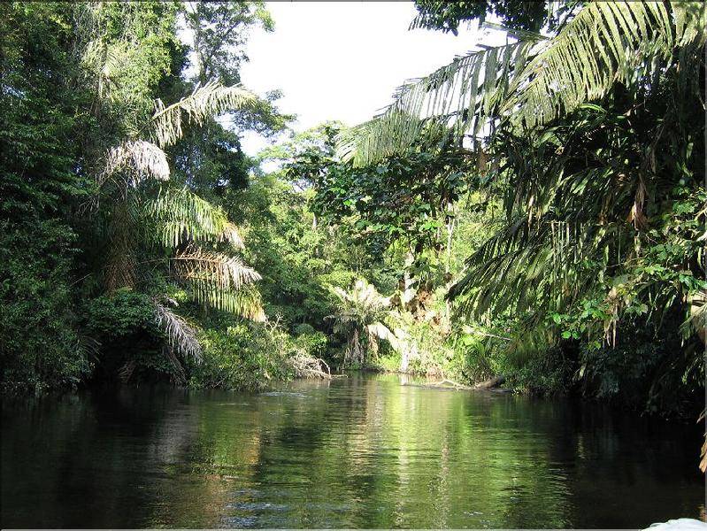 CIRCUIT DÉCOUVERTE DU COSTA RICA (EN PENSION COMPLÈTE)
