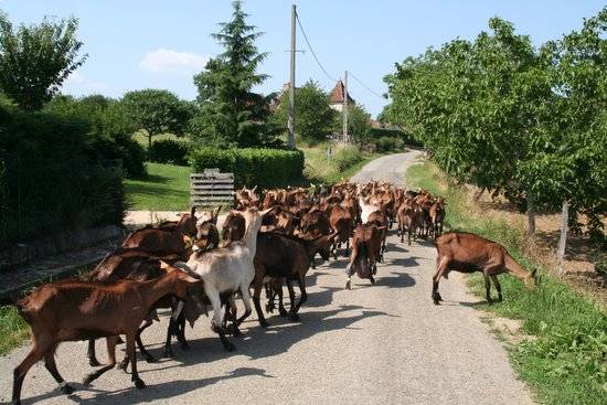 SÉJOUR GASTRONOMIQUE DANS LE PÉRIGORD NOIR À ROCAMADOUR