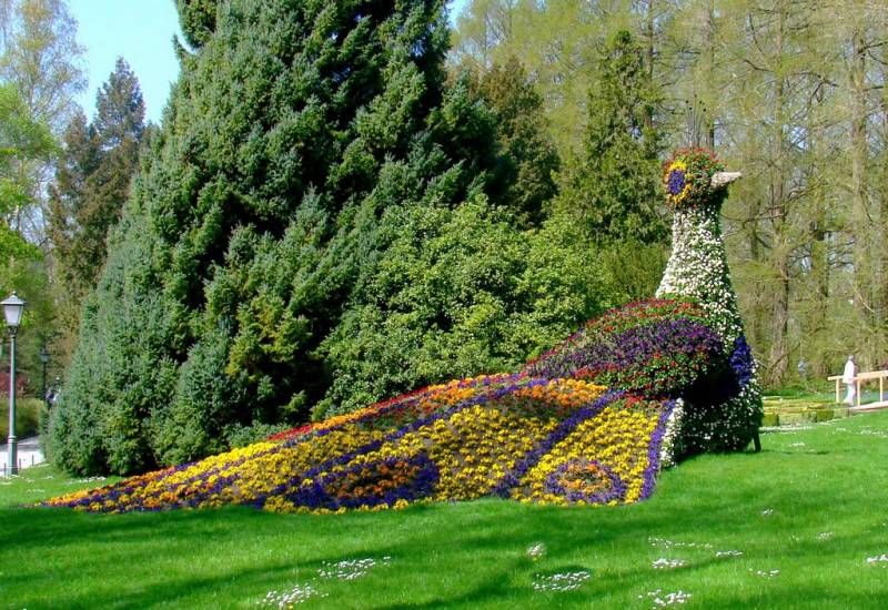 Les fleurs de l'Île de Mainau