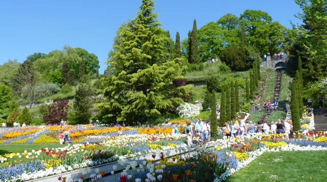 excursion à Mainau au lac de Bodensee