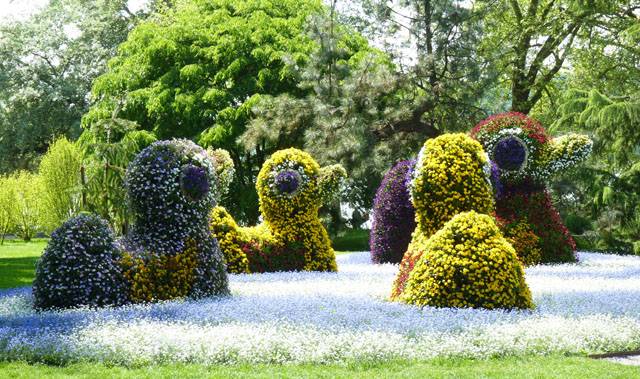 Sculpture de fleurs : Canards
