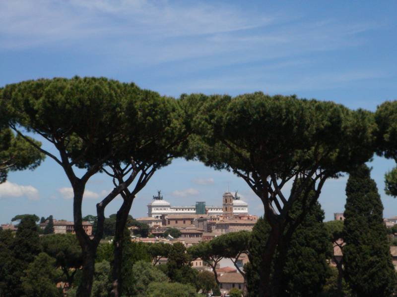découverte de la Rome antique et du Vatican