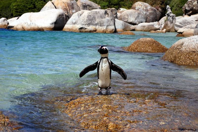 PROMO CIRCUIT AFRIQUE DU SUD