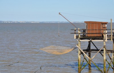 Nos prestations sur le secteur de Cassis
