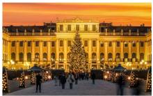 Nos prestations sur le secteur de La Ciotat Bouches-du-Rhône